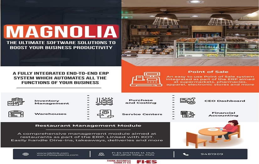 FI-ES Magnolia ERP Software screenshot 1