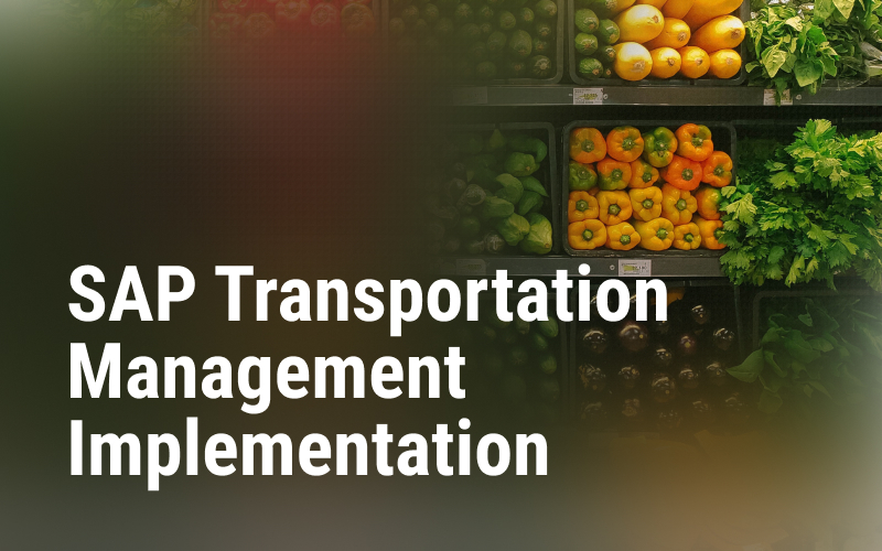 SAP Transportation Management implementation for a large retailer screenshot 1