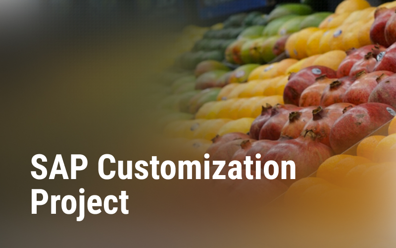 SAP customization project for a large food retailer screenshot 1