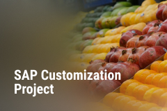 SAP customization project for a large food retailer