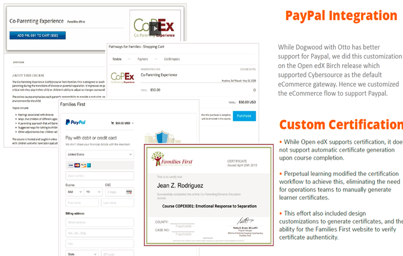 Families First: Online Learning for Family Welfare screenshot 1