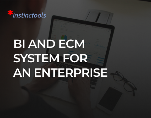 BI Technologies and ECM System for an Enterprise screenshot 1