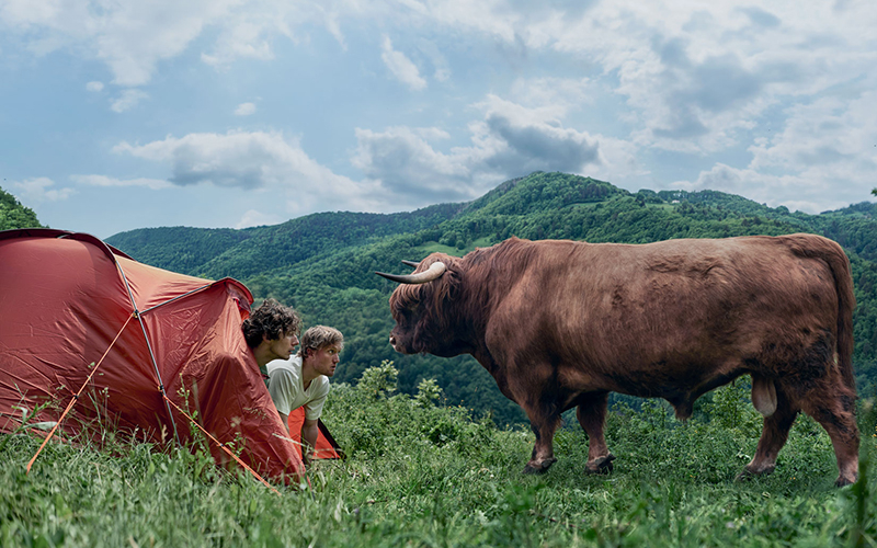 ANWB: Vakantie screenshot 3