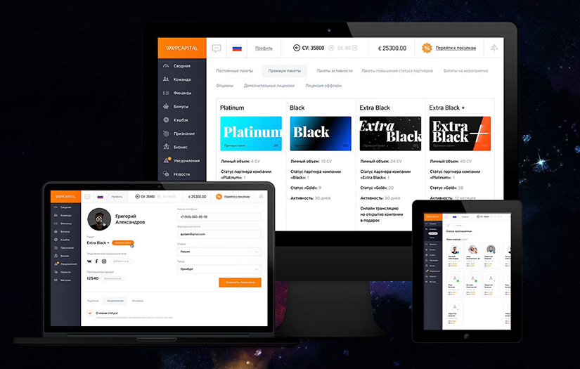 WWPCAPITAL screenshot 1