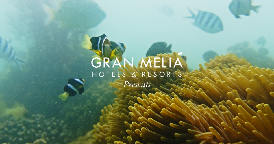 Vietnam Resort Video Production | Nha Trang screenshot 1