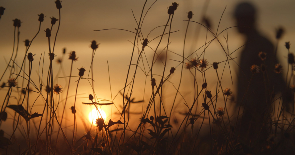 Vietnam Video Production | Project Success Video screenshot 1