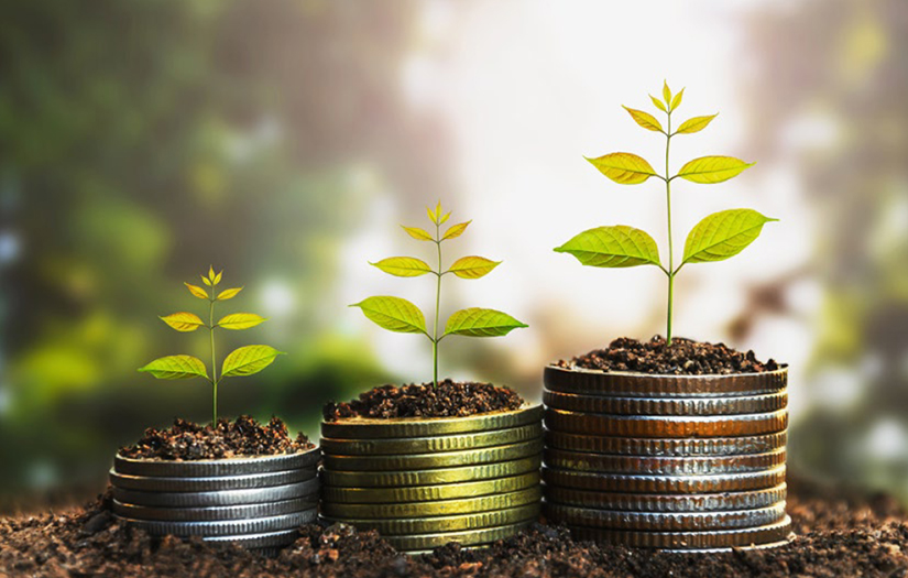 WEALTH OF INFORMATION ABOUT MIDDLE EASTERN FINANCIAL MARKET screenshot 1