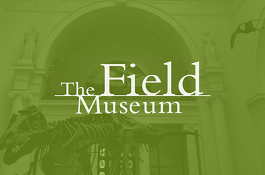 Delivering better UX for the Field Museum