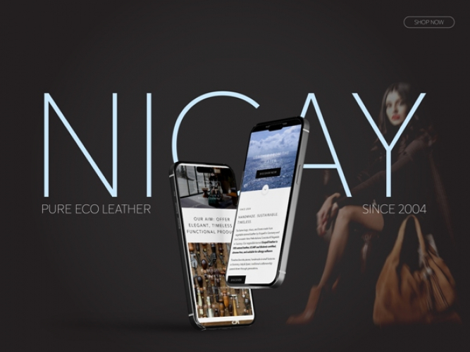  Shopify Website for a Premium lifestyle brand screenshot 3