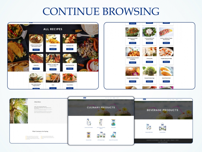 Modern WordPress Website Development for Kara USA – A Global Coconut Brand screenshot 5
