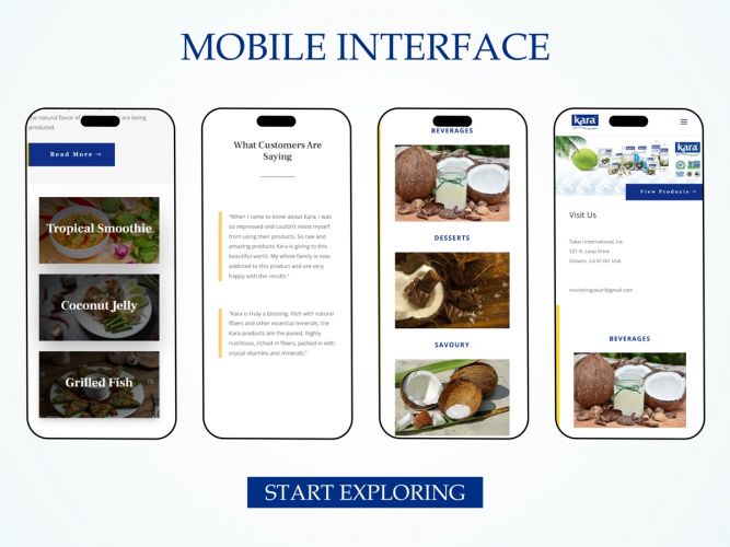 Modern WordPress Website Development for Kara USA – A Global Coconut Brand screenshot 4