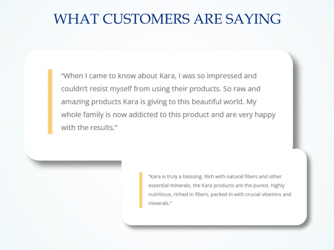Modern WordPress Website Development for Kara USA – A Global Coconut Brand screenshot 3