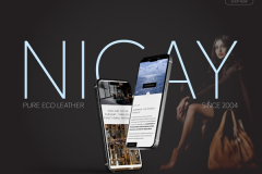  Shopify Website for a Premium lifestyle brand