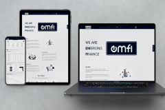 Custom FinTech Lending Platform for EMFI