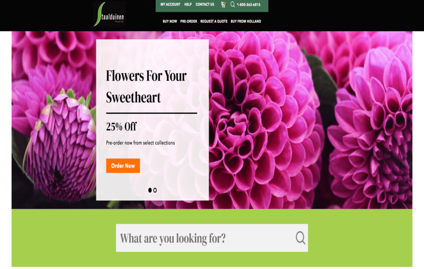 Staalduinen screenshot 1