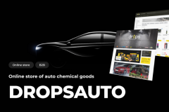 Online store of auto chemical goods