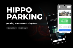 Parking access control system