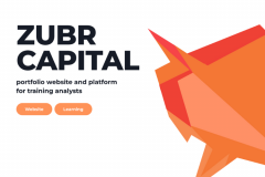 We created a portfolio website showcasing the company's cool projects and reflecting their areas of expertise