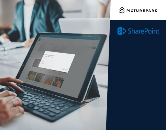 Facilitating Content Management in SharePoint with Picturepark’s Digital Asset Platform screenshot 1