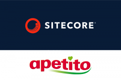 Developing an E-Commerce Solution That Detects Fraudulent Activity