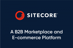 Helping a Fast-Growing E-commerce Platform Reach New Markets