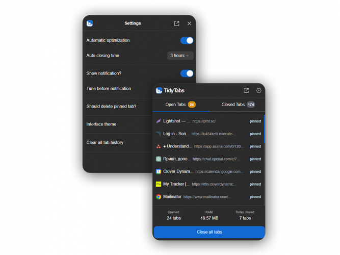 Optimizing Tabs Browser Extension screenshot 2