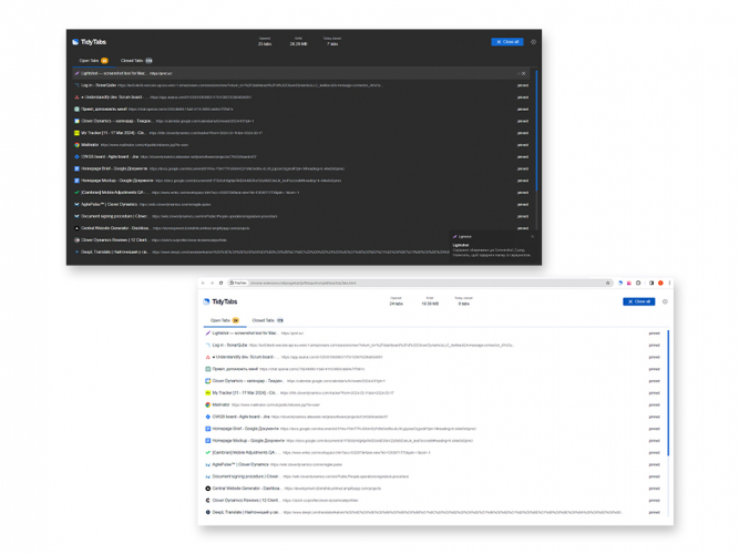 Optimizing Tabs Browser Extension screenshot 4