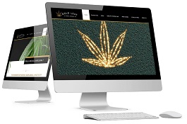 Enterprise eCommerce store for selling medical products