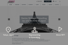 Deniau Strategic Consulting’s Shopify B2B Transformation