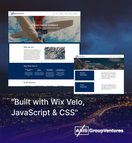 Wix Website for Axis Group Ventures in USA screenshot 2