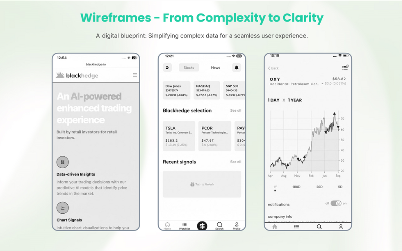 Blackhedge - Investment management platform screenshot 2