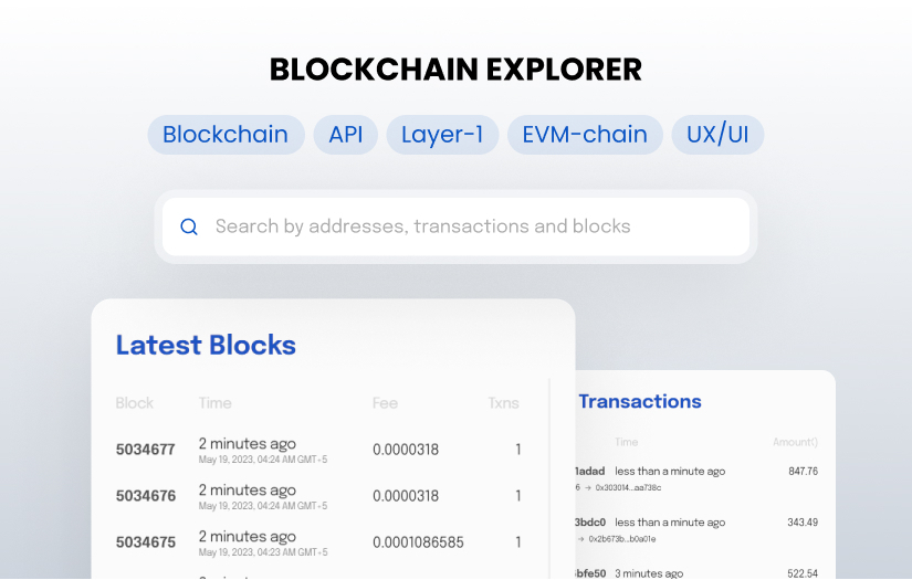 Blockchain Scanner (Explorer) development screenshot 1