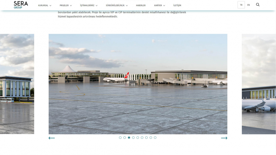 Sera Group Website Development screenshot 1