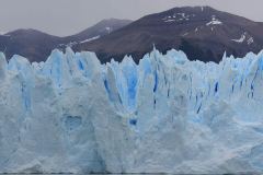 Yuvam Dunya Association Website Development