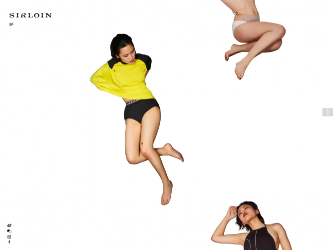 Sirloin Website screenshot 4