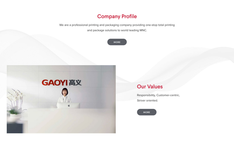 Gaoyi Website screenshot 1