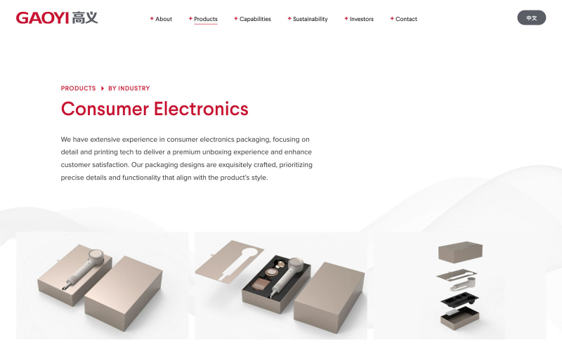 Gaoyi Website screenshot 2