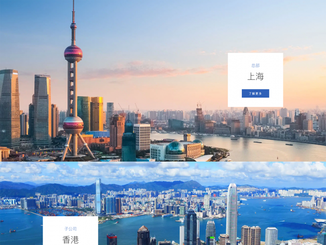 ZS Tech Website screenshot 4