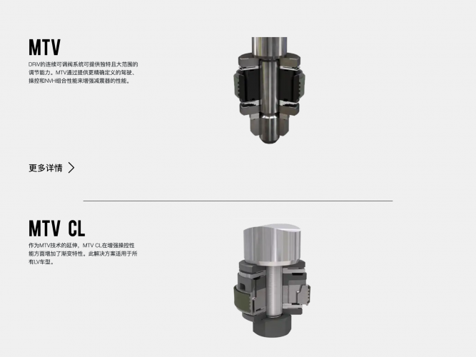 Monroe OE Solutions (China) Website screenshot 1