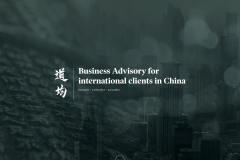  HGR Consulting Website