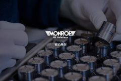 Monroe OE Solutions (China) Website