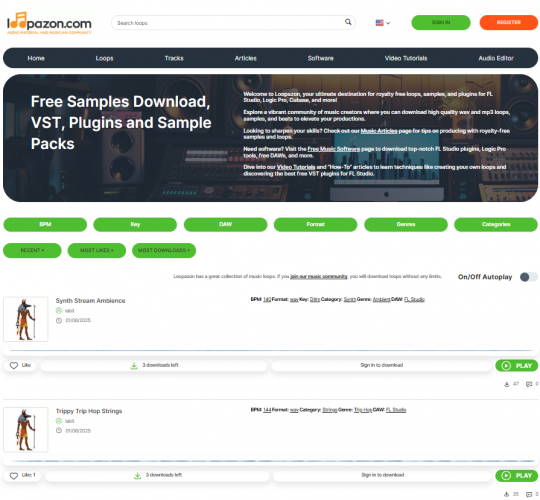 Loopazon: A Story About How Website Redesign Affects SEO screenshot 3