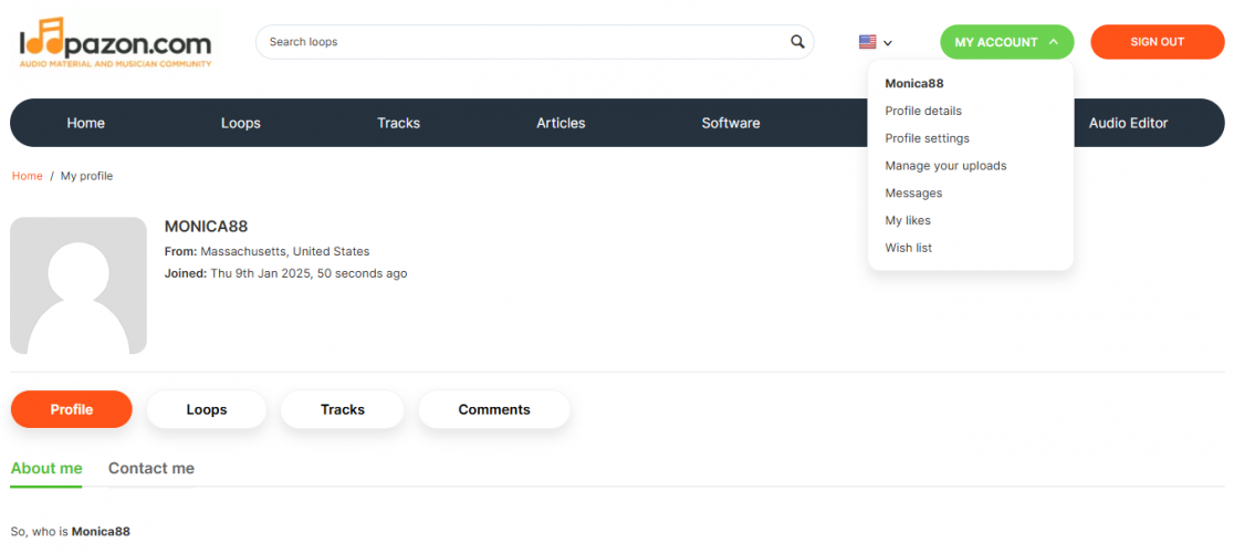 Loopazon: A Story About How Website Redesign Affects SEO screenshot 1