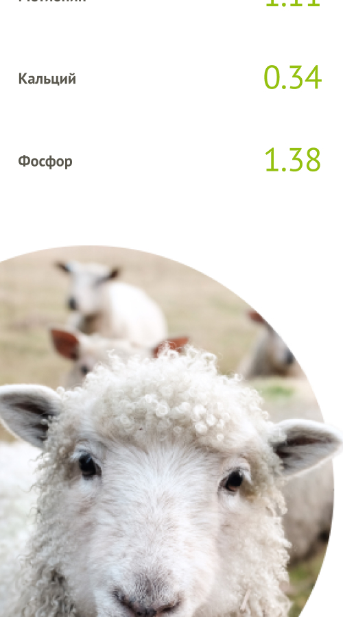 Potoki No. 1 Oil Extraction Plant screenshot 9