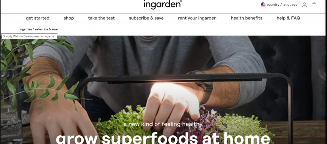 Revenue growth for Ingarden by 67% YoY screenshot 2