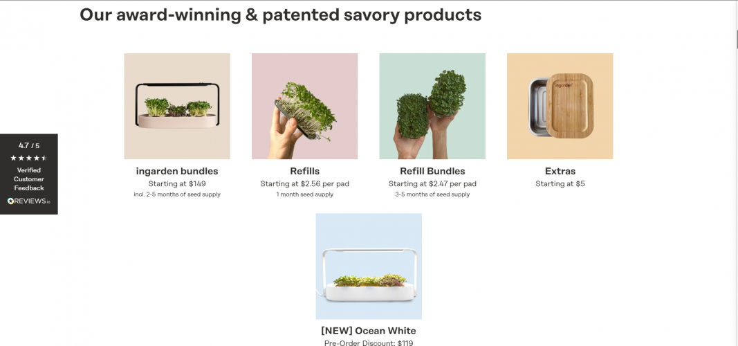 Revenue growth for Ingarden by 67% YoY screenshot 1