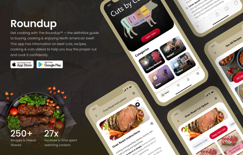 The ROUNDUP screenshot 2