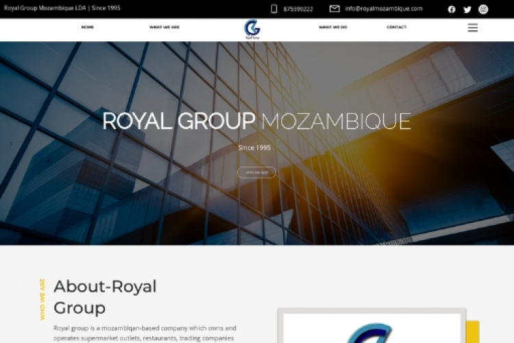 Business website screenshot 1