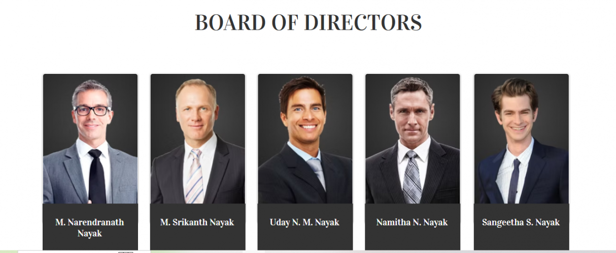 Monarkgroup screenshot 2