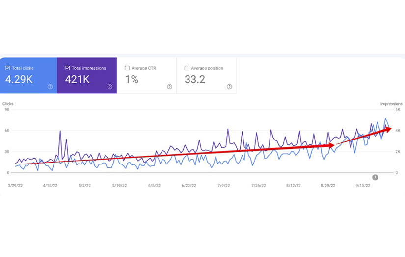 A search promotion for an online store PTZ Cameras screenshot 1